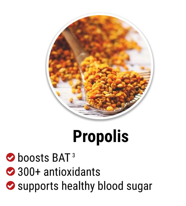 exipure ingredient propolis