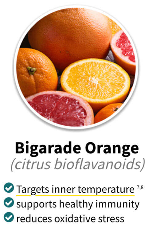 Alpilean ingredients bigarade orange