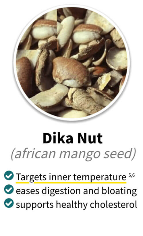 Alpilean ingredients dika nut