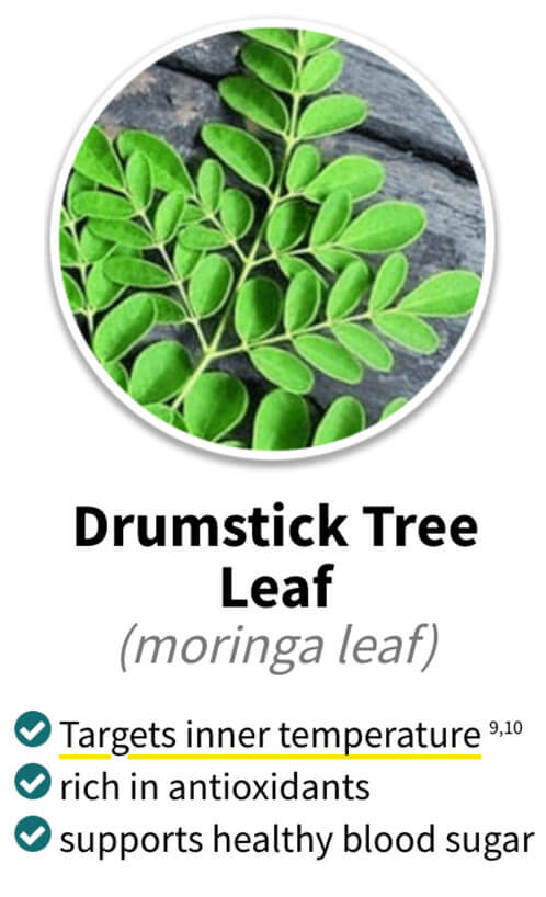 Alpilean ingredients drumstick tree leaf