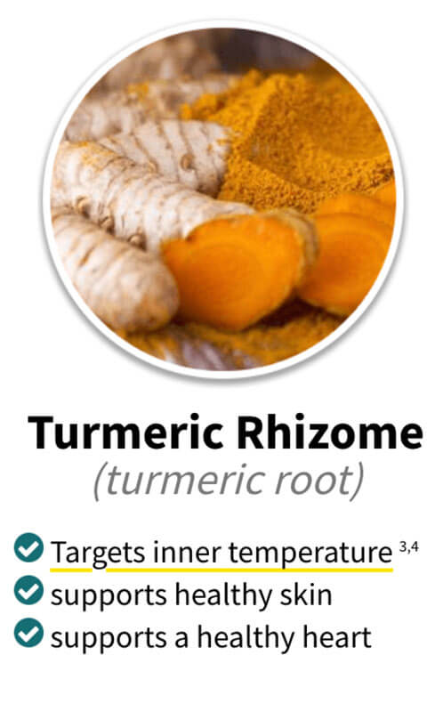 Alpilean ingredients turmeric rhizome
